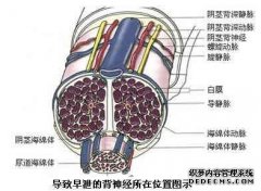 九江那治早泄